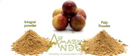 CAMU CAMU kapszula 100*500mg