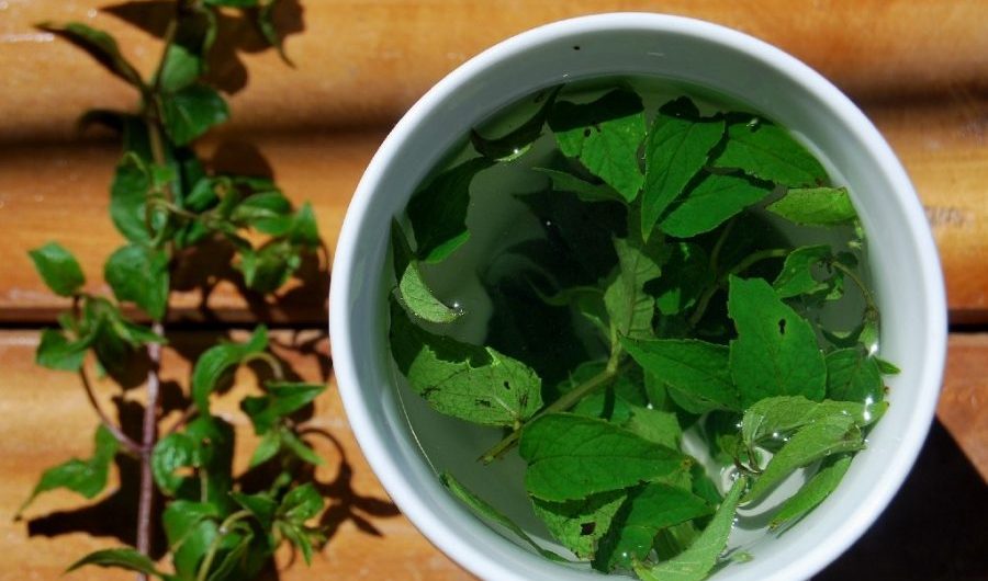 Muña illóolaj 10ml