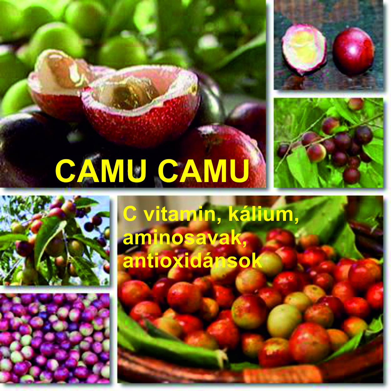 CAMU CAMU POR 150g